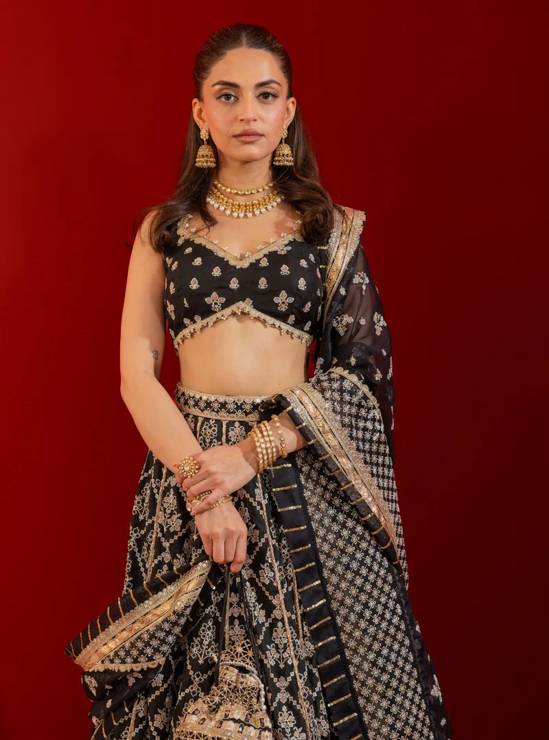 Bemberg Silk Anton Black Lehenga