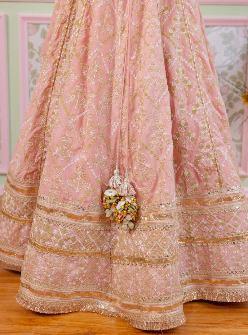Bemberg Silk Anton Pink Lehenga