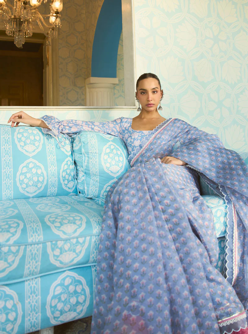 Clarimond Steel Blue Printed Organza Saree