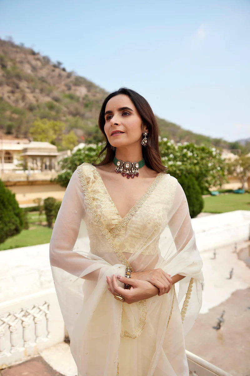 Pastel cream organza hand embroidered saree