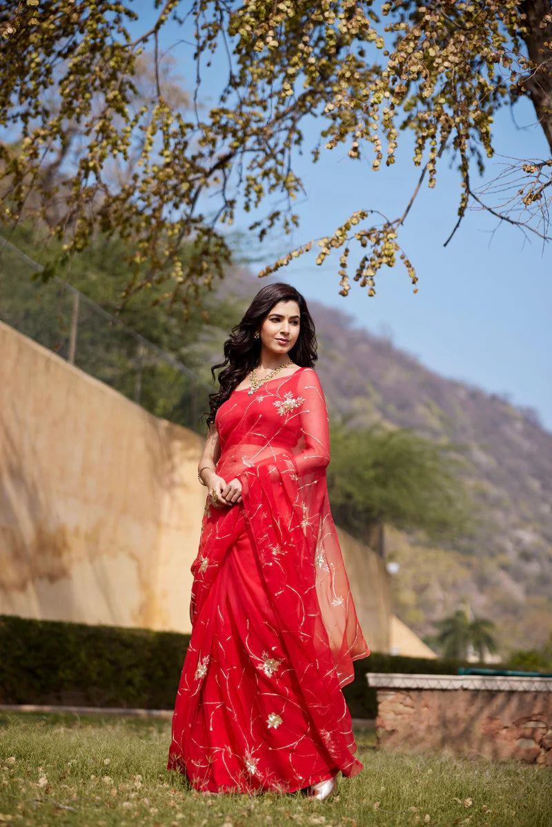 Red-Orange Shaded Hand Embroidered Jaal Chiffon Saree